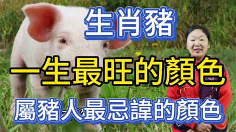 屬豬皮夾顏色|屬豬適合什麼顏色皮夾？專家分析及推薦